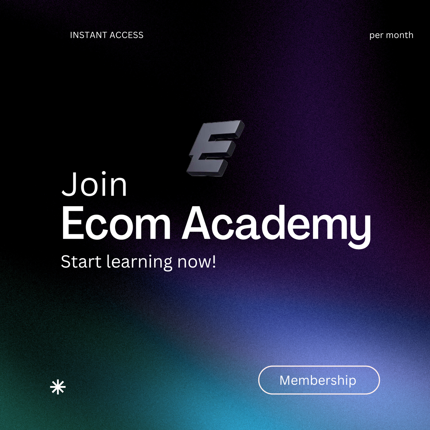 Ecom Academy